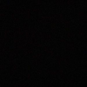 Meet your Posher, Shelly